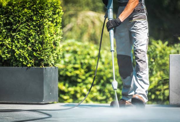 Best Driveway Pressure Washing  in Emeryville, CA